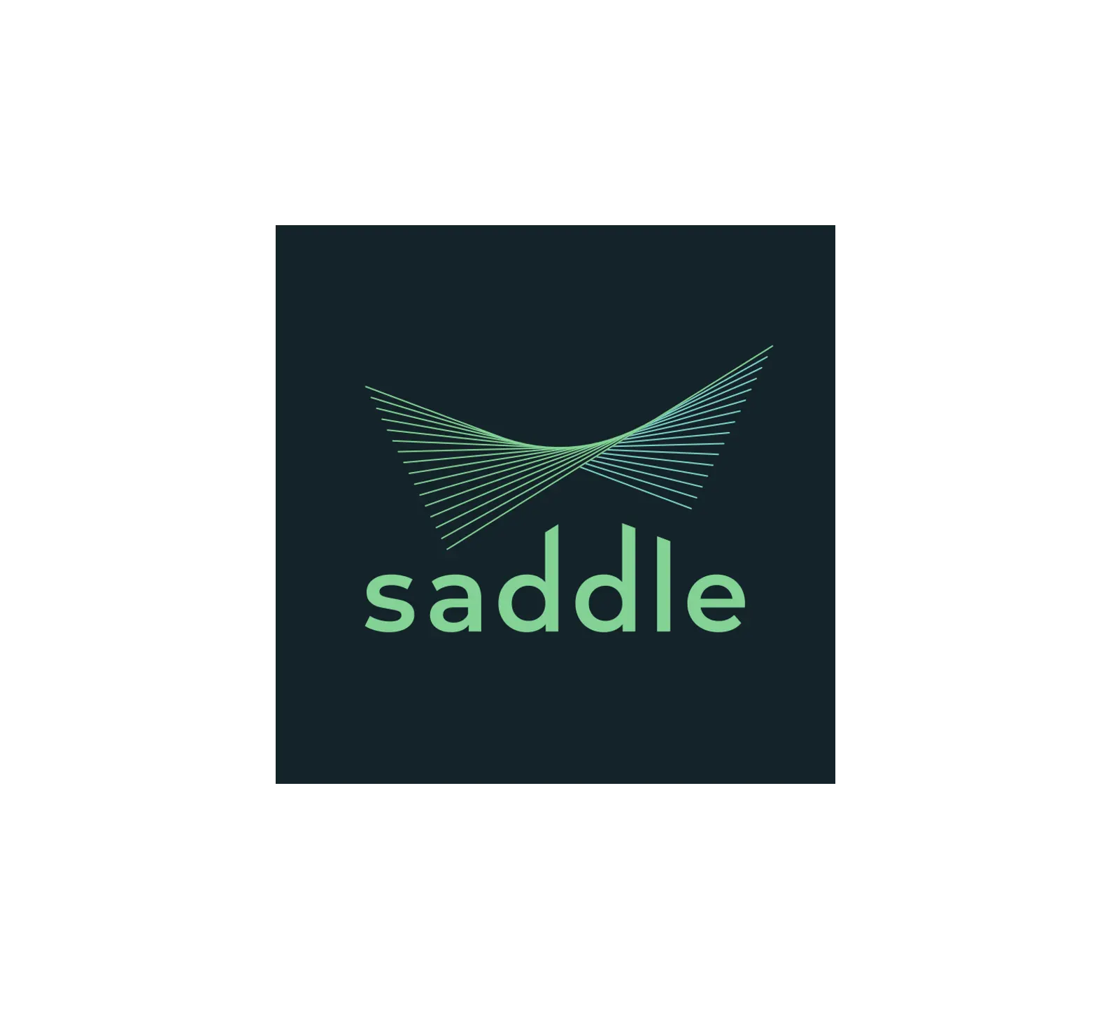 saddle